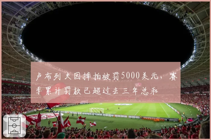卢布列夫因摔拍被罚5000美元，赛季累计罚款已超过去三年总和