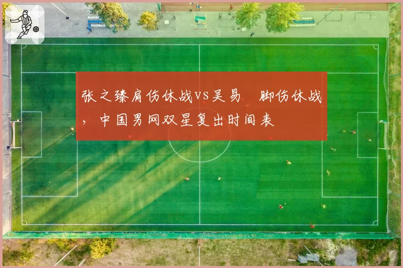 张之臻肩伤休战vs吴易昺脚伤休战,中国男网双星复出时间表