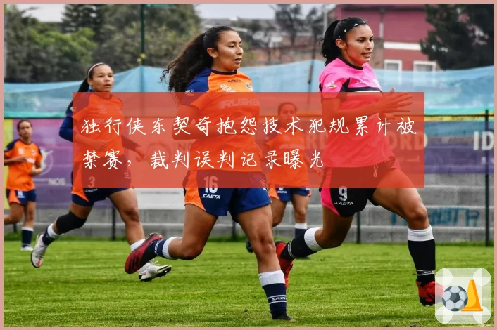 独行侠东契奇抱怨技术犯规累计被禁赛，裁判误判记录曝光
