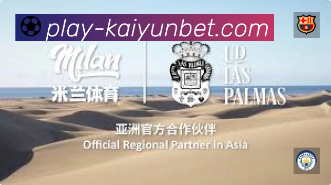 开云平台展示图